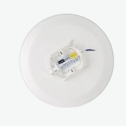 Belloraa | Intelligente WiFi-BLE-LED-Deckenleuchte, 24 W, RGBCW, Innenbeleuchtung, APP, Sprachsteuerung