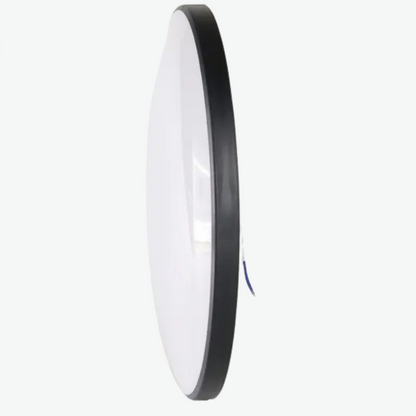 Belloraa | Intelligente WiFi-BLE-LED-Deckenleuchte, 24 W, RGBCW, Innenbeleuchtung, APP, Sprachsteuerung