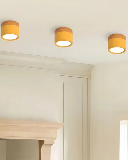 Lumora Deckenleuchte | Stilvolles Lichtdesign für moderne Räume