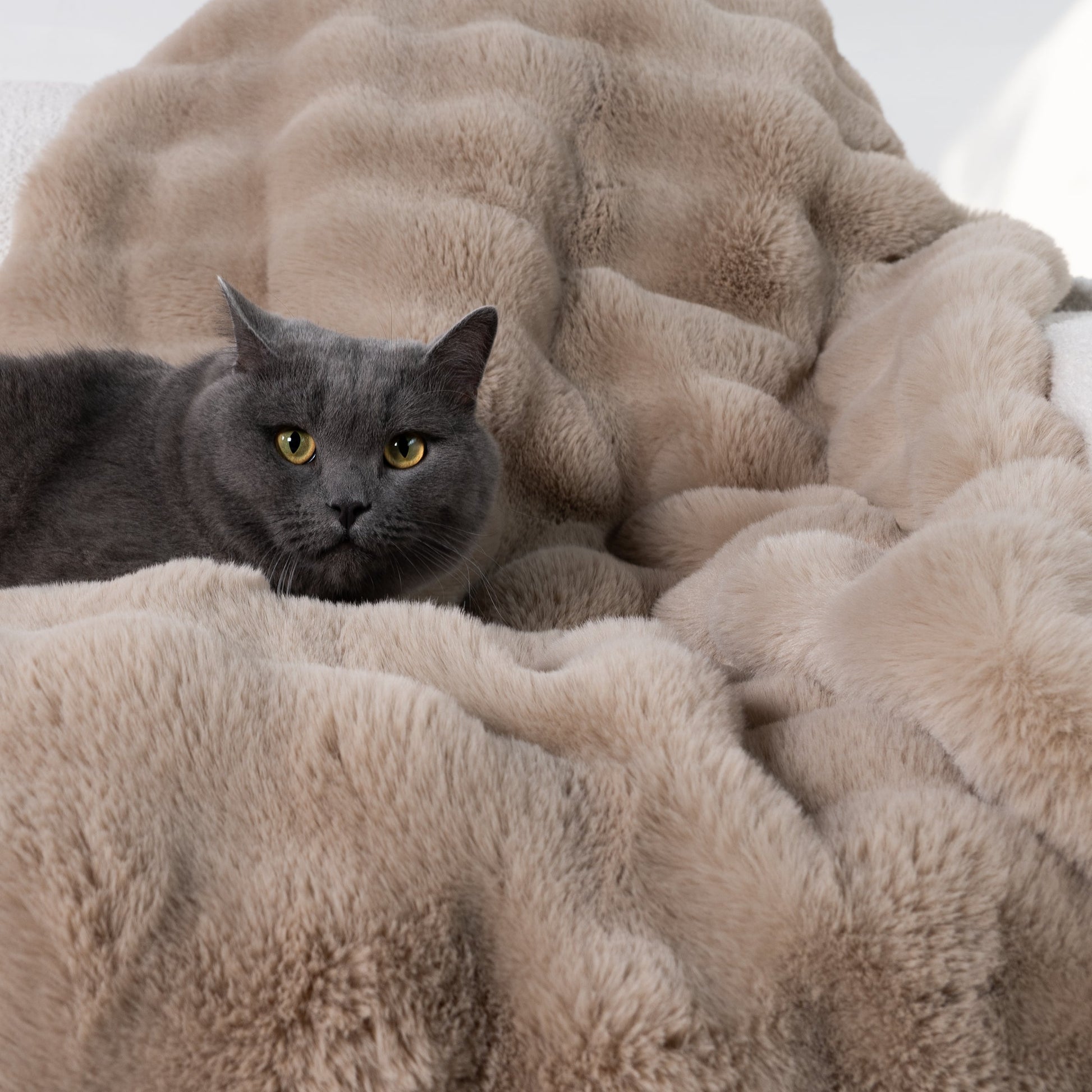 Fluffara | Wurfdecke – Luxuriöses Faux-Kaninchenfell für Ultimativen Komfort 2