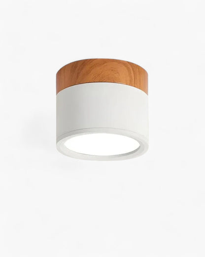 Lumora Deckenleuchte | Stilvolles Lichtdesign für moderne Räume