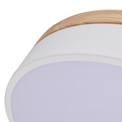 TrommelGlow LED-Deckenleuchte | Moderne dimmbare Deckenlampe mit mattem Glas, integrierter LED